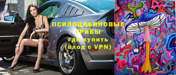 ешки Абинск