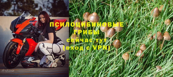 метадон Абаза