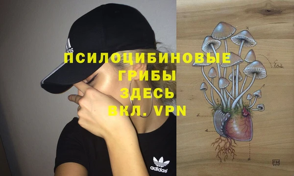 бошки Абдулино
