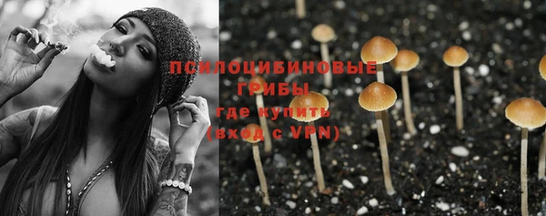 бошки Абдулино