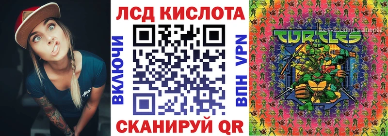 Марки N-bome 1500мкг где можно купить наркотик Шиханы